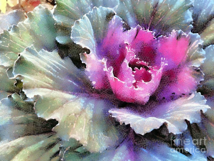Ornamental Cabbage and Kale - Purple Frost Photograph by Janine Riley