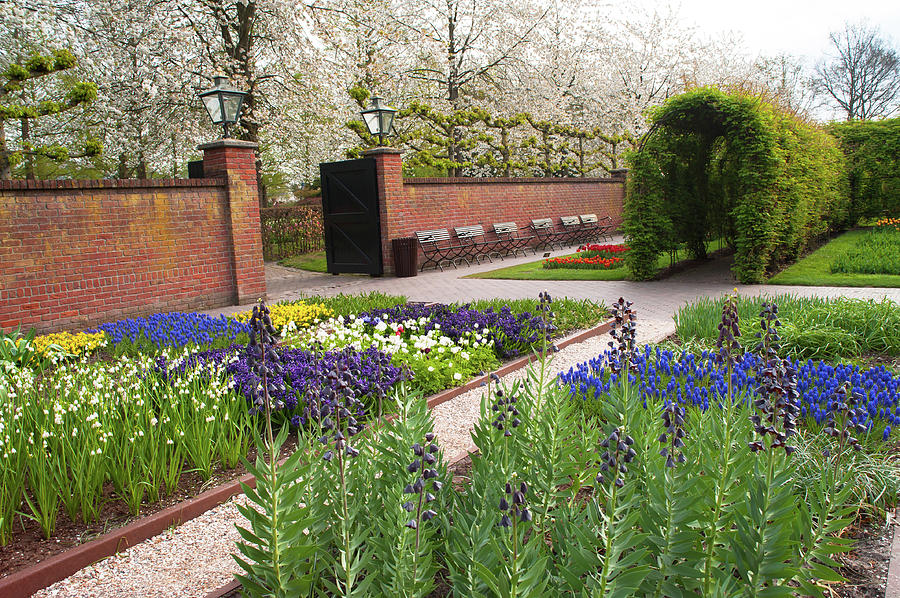 Ornamental Garden with Colorful Flowerbeds in Keukenhof 2 Photograph by Jenny Rainbow