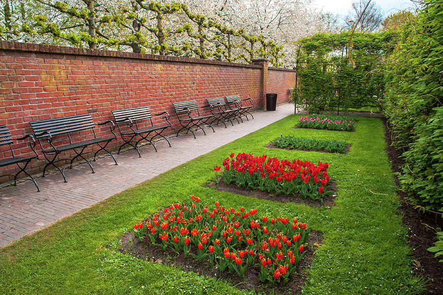 Ornamental Garden With Colorful Flowerbeds In Keukenhof 5 Photograph by Jenny Rainbow