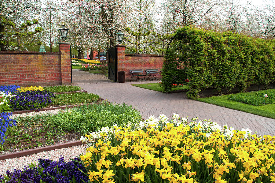 Ornamental Garden with Colorful Flowerbeds in Keukenhof Photograph by Jenny Rainbow