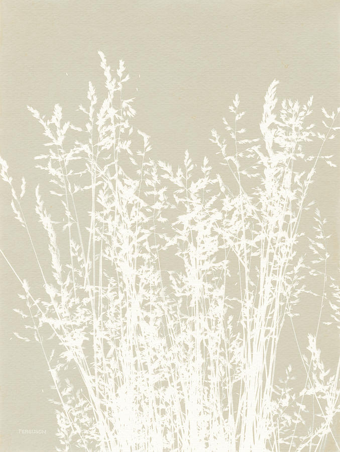 Beige Photograph - Ornamental Grass I Neutral by Kathy Ferguson