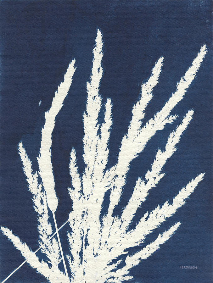 Blue Photograph - Ornamental Grass II by Kathy Ferguson