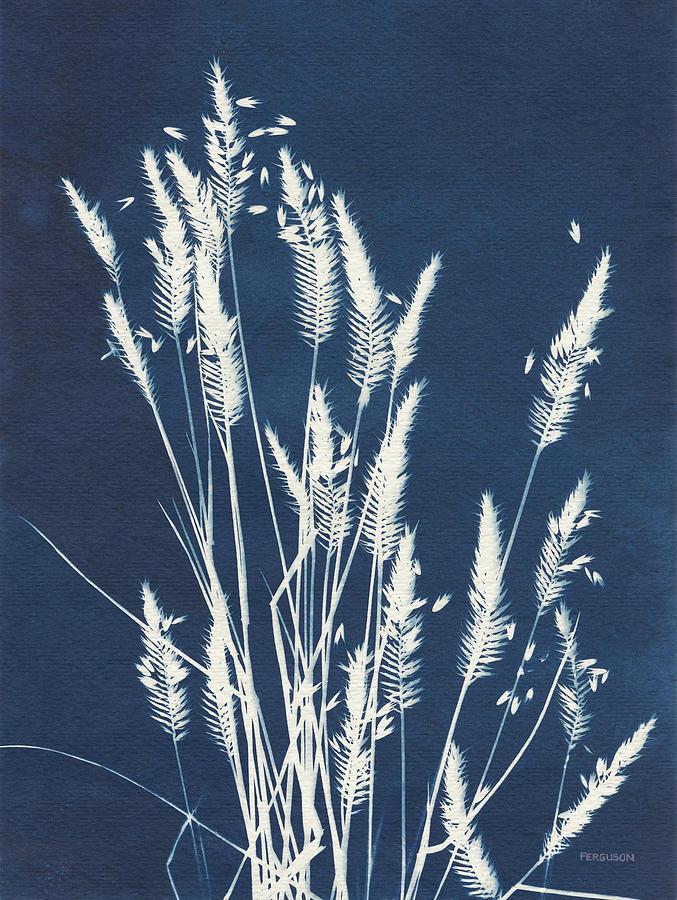 Blue Photograph - Ornamental Grass IIi by Kathy Ferguson