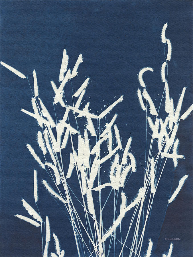 Blue Photograph - Ornamental Grass Iv by Kathy Ferguson