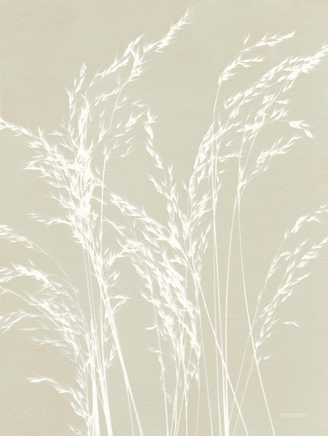 Beige Photograph - Ornamental Grass V Neutral by Kathy Ferguson