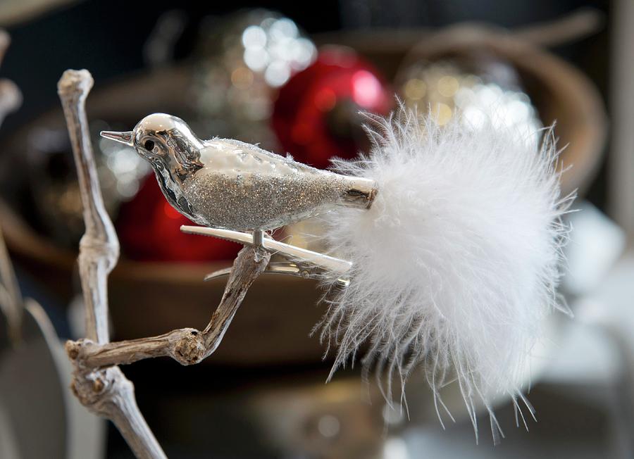 Ornamental Metal Bird With Tail Made From White Feathers Clipped To Branch Photograph by Inge Ofenstein