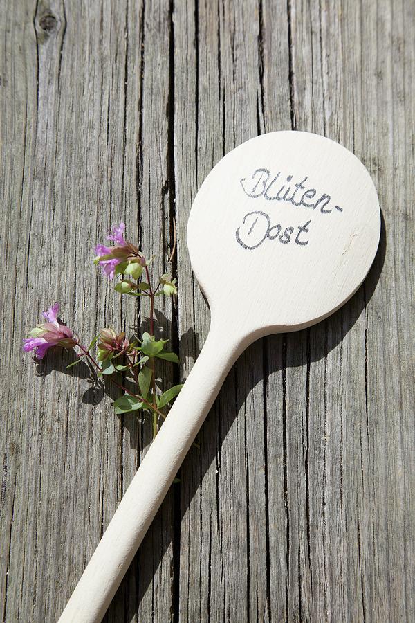Ornamental Oregano And Wooden Spoon Used As Plant Label Photograph by Heidi Frhlich