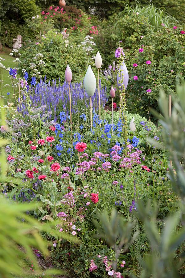 Ornamental Rods In Flowering Garden Photograph by Sibylle Pietrek