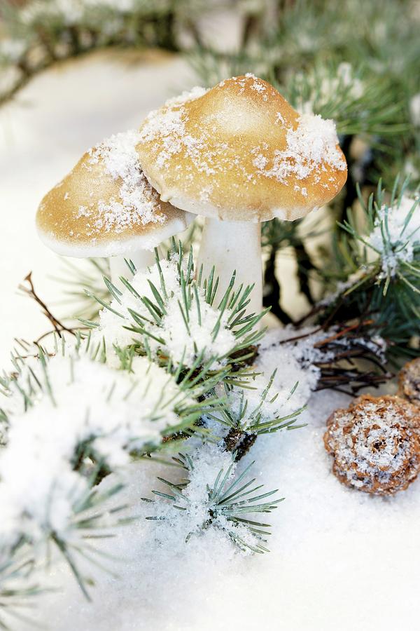 Ornamental Toadstools And Snow On Larch Twigs Photograph by Angelica Linnhoff