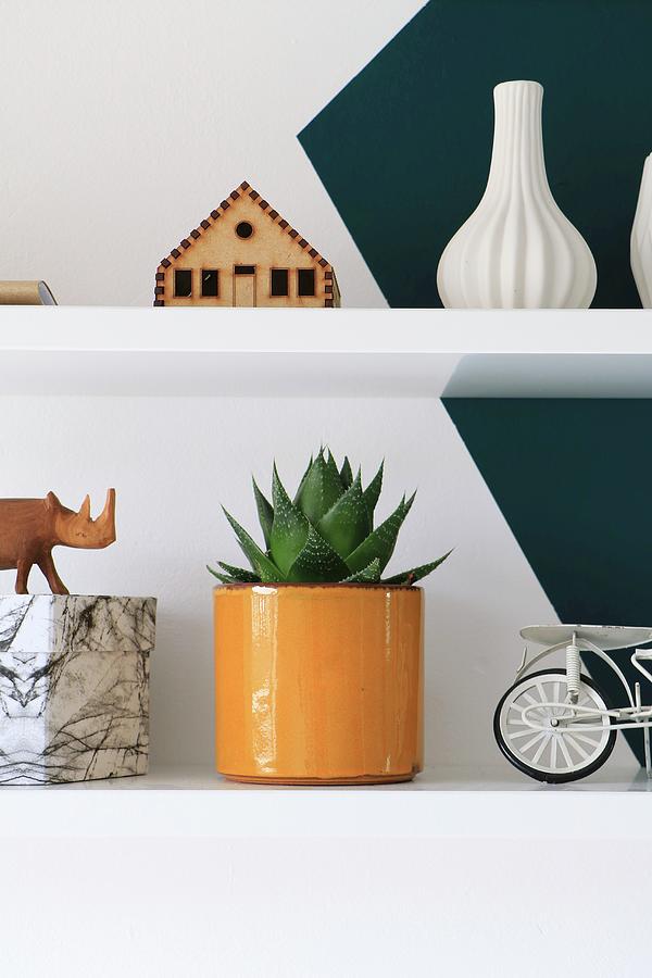 Ornaments And Potted Succulent On Shelves On Two-tone Wall Photograph by Marij Hessel