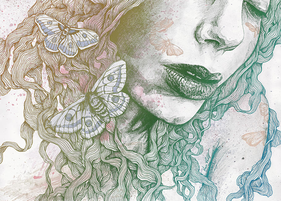 Butterfly Drawing - Ornaments - Rainbow II by Marco Paludet