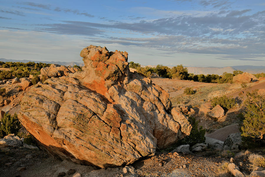 Ornate Boulder in Bentonite Site on Little Park Road Photograph by Ray Mathis