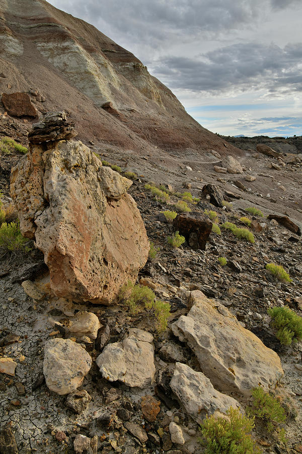 Ornate Boulders of Ruby Mountain in Grand Junction CO Photograph by Ray Mathis
