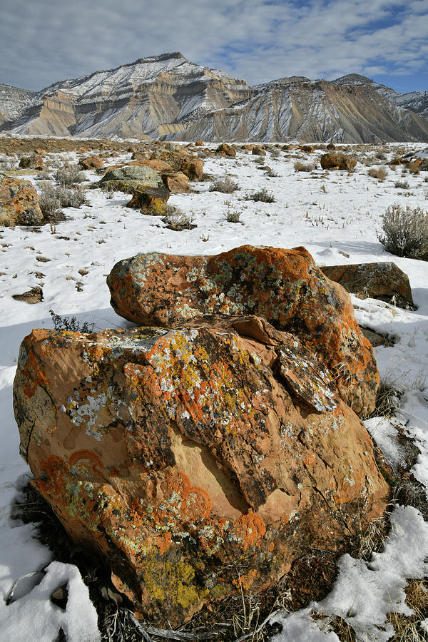 Ornate Colorful Boulders in the Book Cliffs Photograph by Ray Mathis