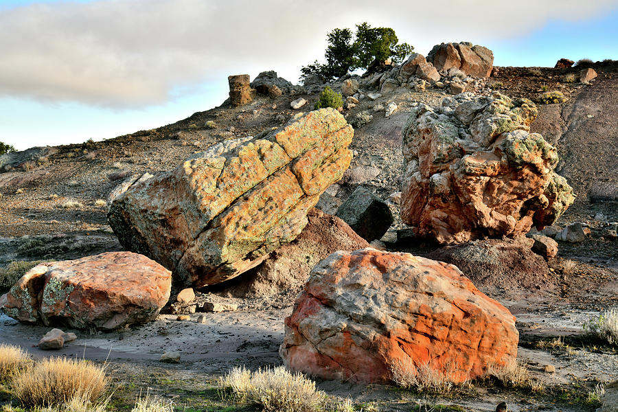 Ornate Colorful Boulders of the Bentonite Site Photograph by Ray Mathis