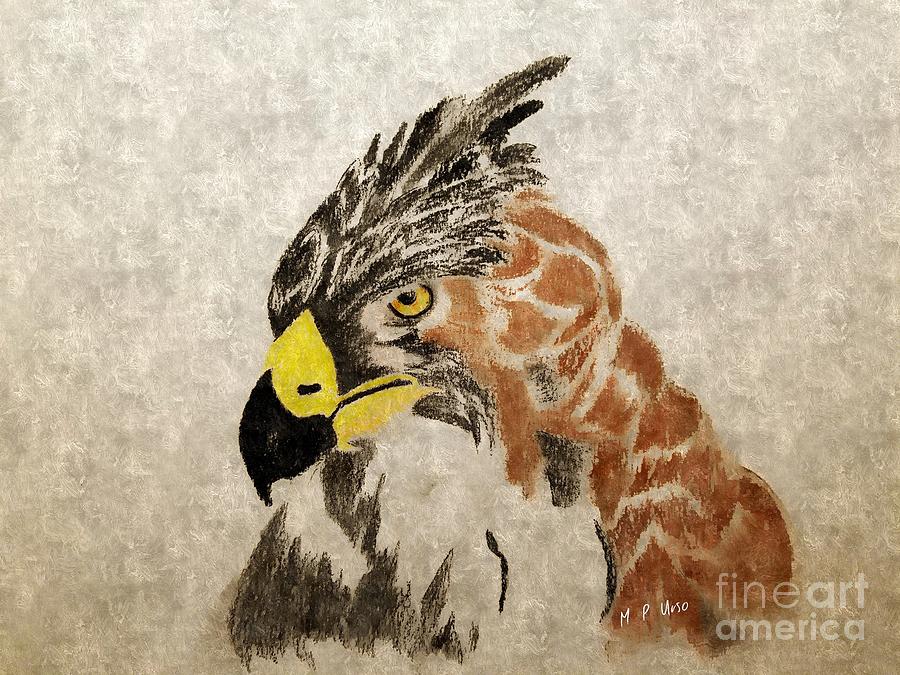 Ornate Hawk Eagle 2 Pastel by Maria Urso