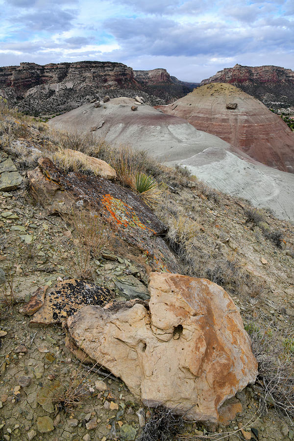 Ornate Rocks on Ancient Volcanoes in Grand Junction CO Photograph by Ray Mathis