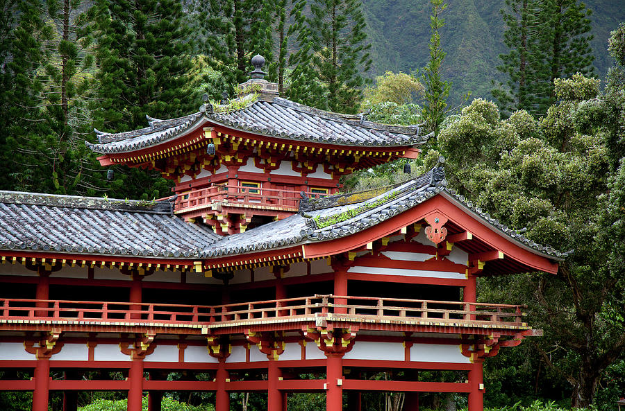 Ornate Temple With Forest Backdrop Photograph by Timothy Hearsum