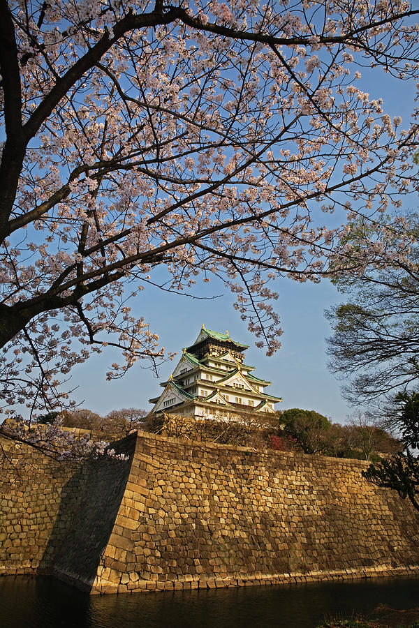 Osaka Castle View Photograph by John W Banagan