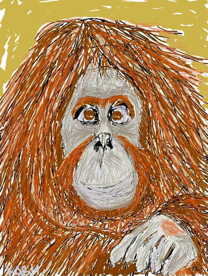 Oshi the Orangutan Drawing by Kathy Barney Pixels