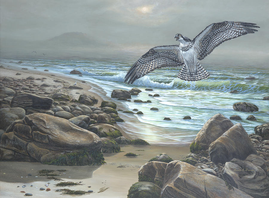 Osprey Painting by Bruce Dumas