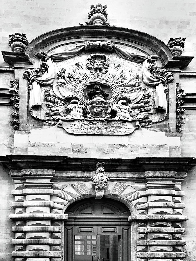 Ostentatious by Dominic Piperata Ostentatious by Dominic Piperata