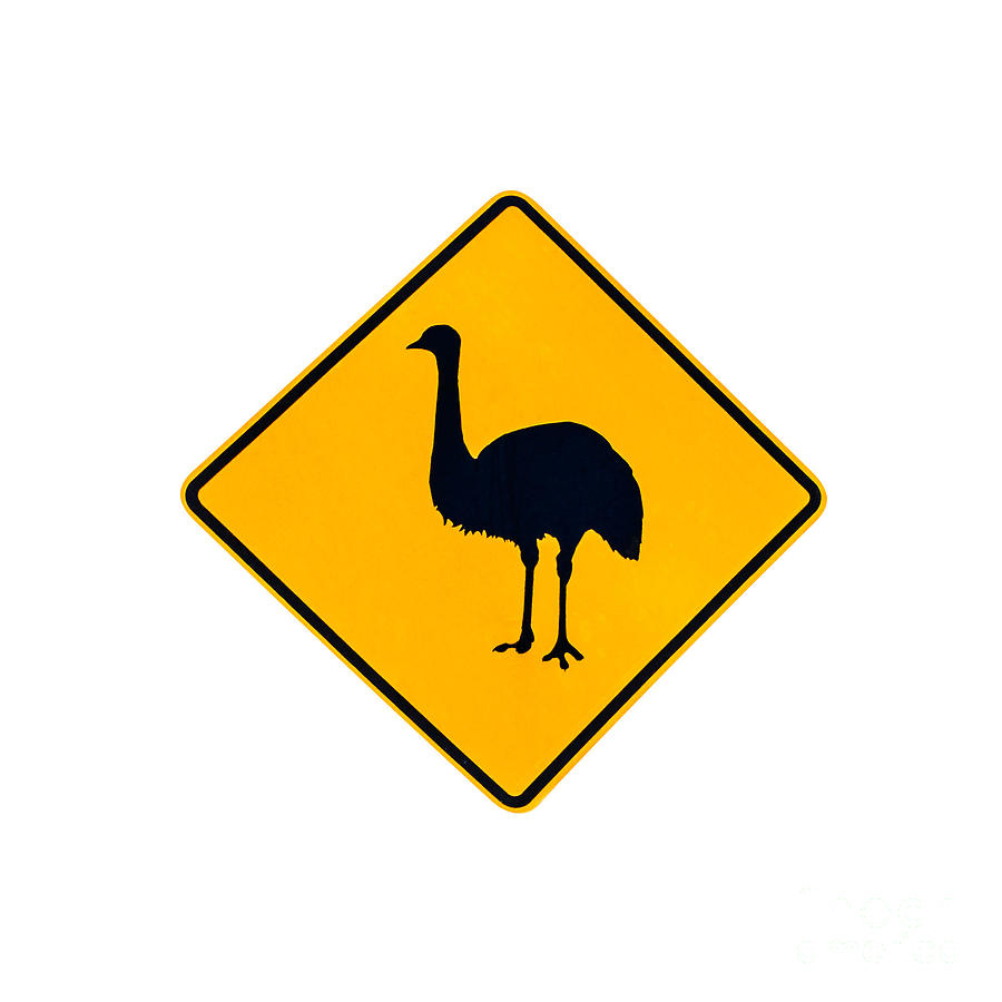 Ostrich Warning Sign Photograph by Benny Marty