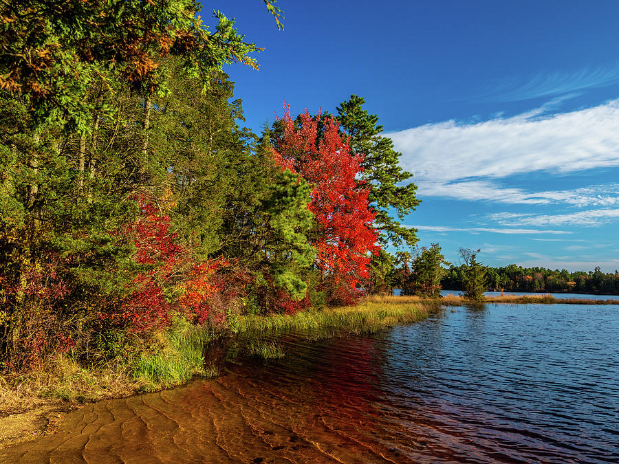 Oswego Lake Pinelands Photograph by Louis Dallara