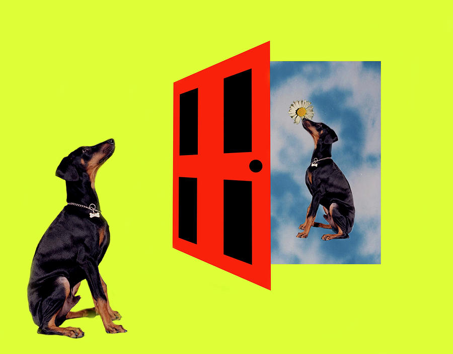 Dog Digital Art - Other Side Of The Door by Nikki Attree Dog Digital Art - Other Side Of The Door by Nikki Attree