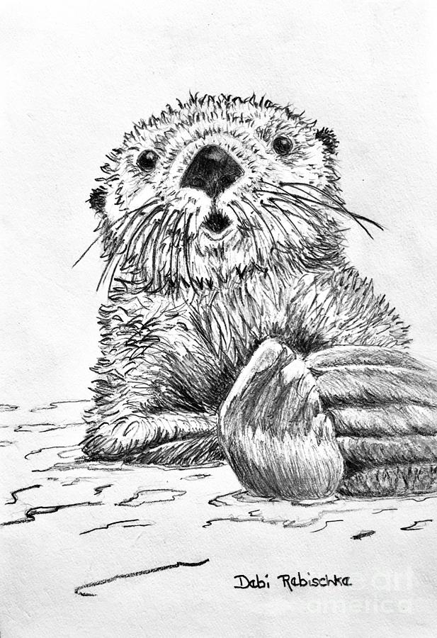 Otter at the Bay Drawing by Debi Rebischke - Fine Art America