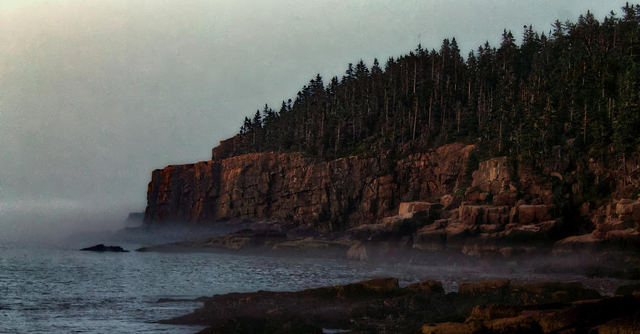 Otter Cliffs 3 Photograph by Jeff Heimlich