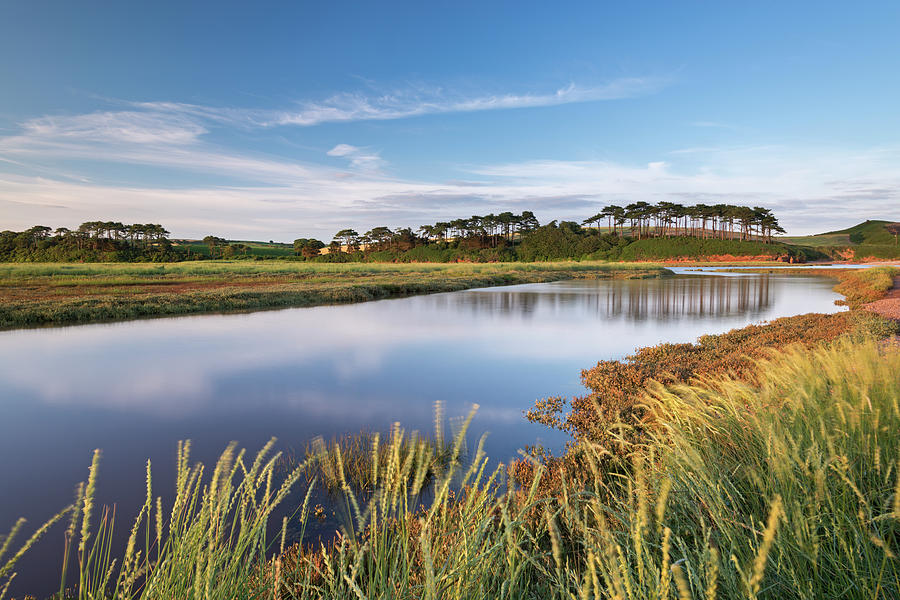 Otter Estuary At Budleigh Salterton In by Adam Burton / Robertharding