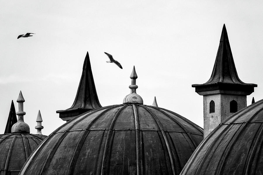 Turkey, Istanbul - Ottoman domed rooftops Photograph by Fabrizio Troiani