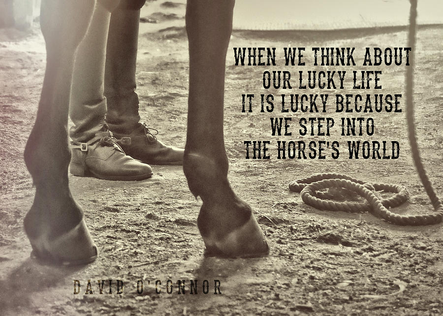 OUR PARTNERSHIP quote Photograph by Dressage Design