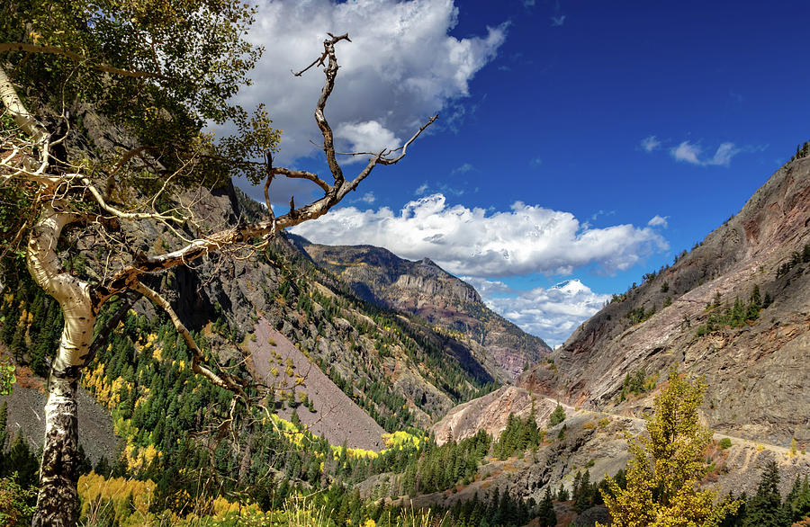 Ouray Overlook Photograph by Norma Brandsberg