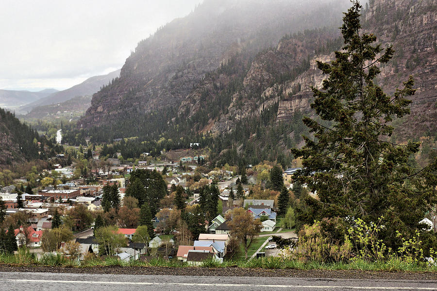 Tree Photograph - Ouray Viewed From The Mountain by John Trommer