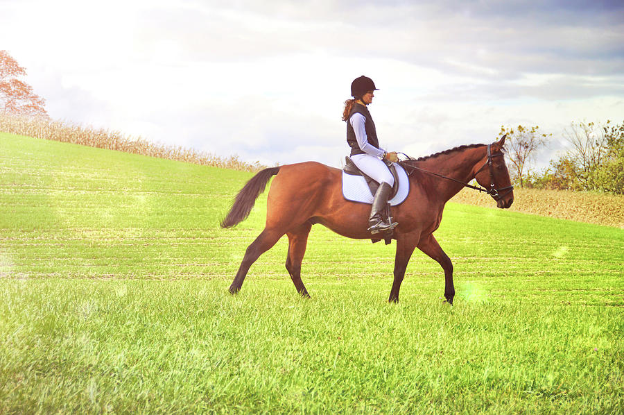 Out And About Together Photograph by Dressage Design