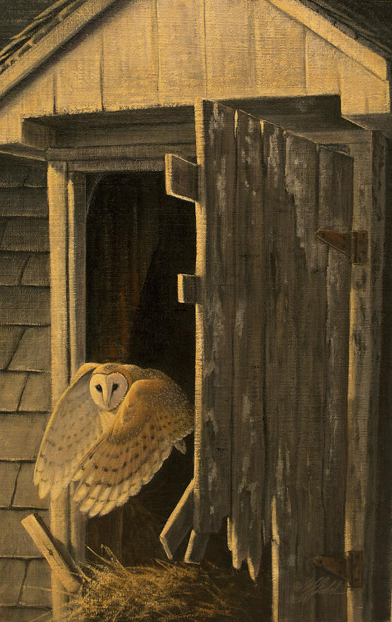Bird Painting - Out Of The Darkness - Barn Owl by Wilhelm Goebel