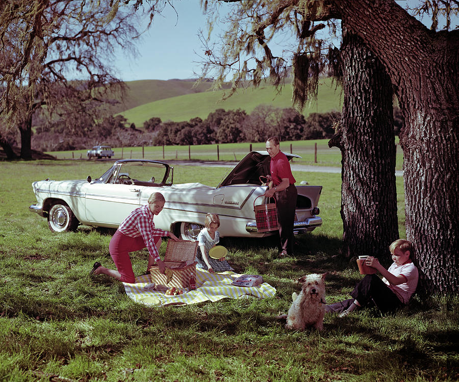 Out On A Picnic Photograph by Tom Kelley Archive
