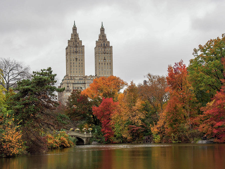 Central Park Lake Photograph by Cornelis Verwaal