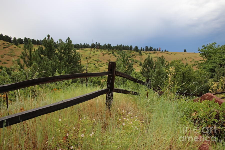 Out Riding the Fences 2019 Photograph by Darren Dwayne Frazier - Fine ...