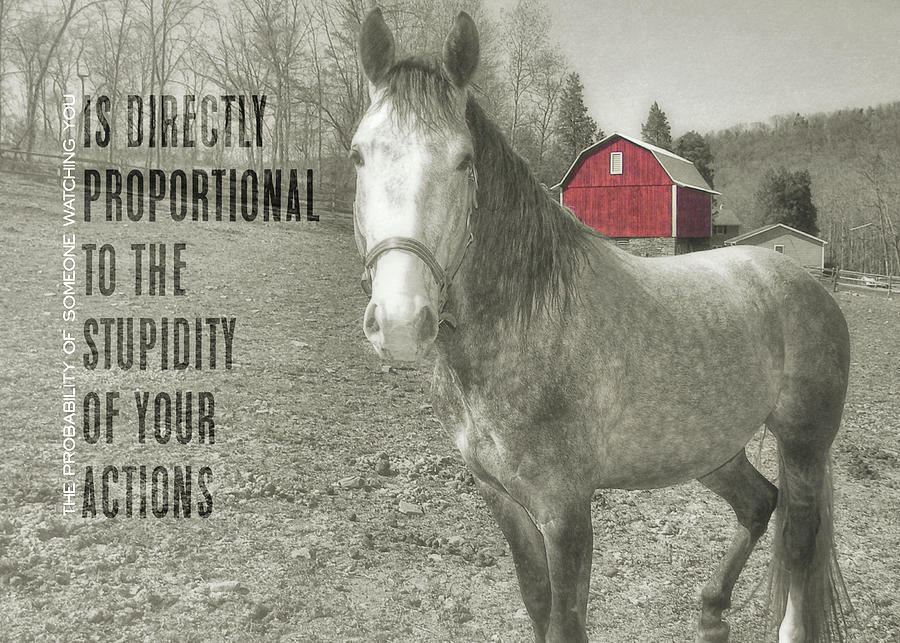 OUT TO PASTURE quote Photograph by Dressage Design