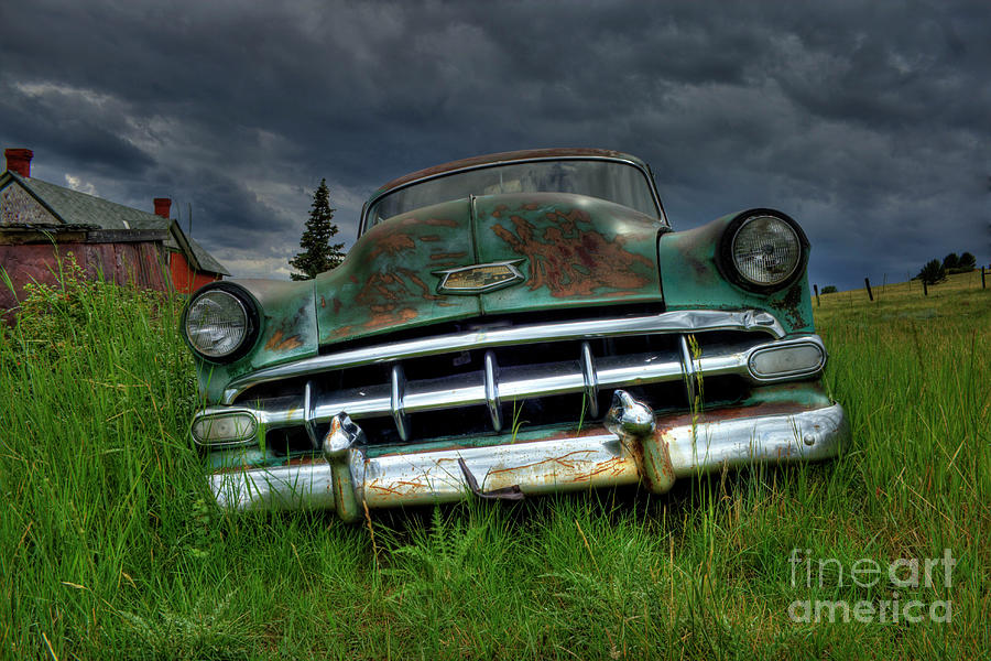 Out to Pasture by Tony Baca Out to Pasture by Tony Baca
