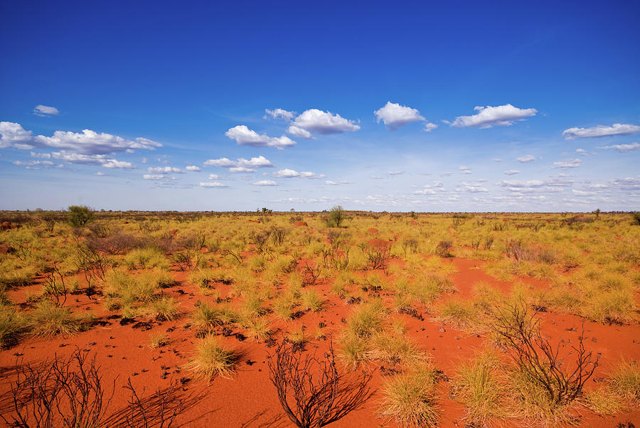 Outback Landscape Showing The Blue Sky Photograph by Cuhrig