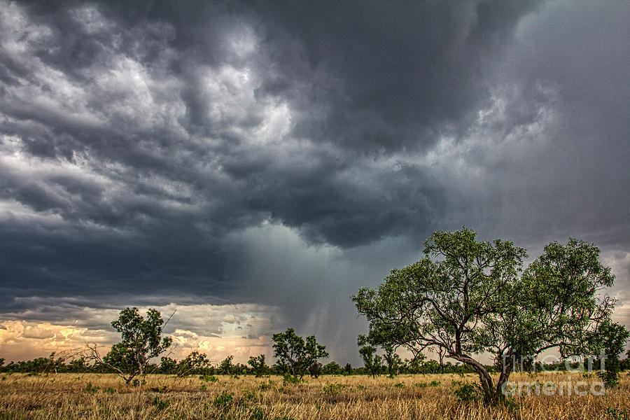 Outback Rainstorm Photograph by Douglas Barnard