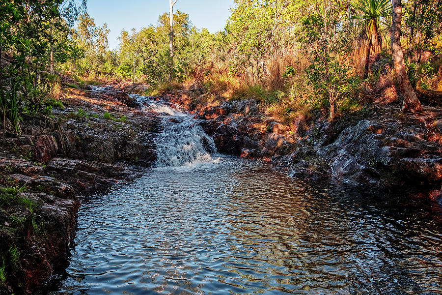 Outback Waterhole Photograph by Catherine Reading