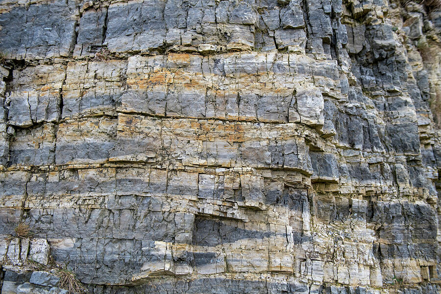 Outcrop Of Banded Chert, Part Of The Carboniferous, Pentre Photograph ...