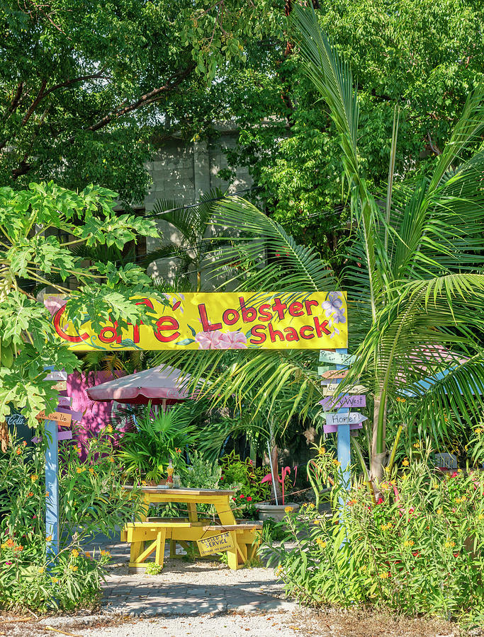 Outdoor Cafe, Key Largo, Florida Digital Art by Laura Zeid