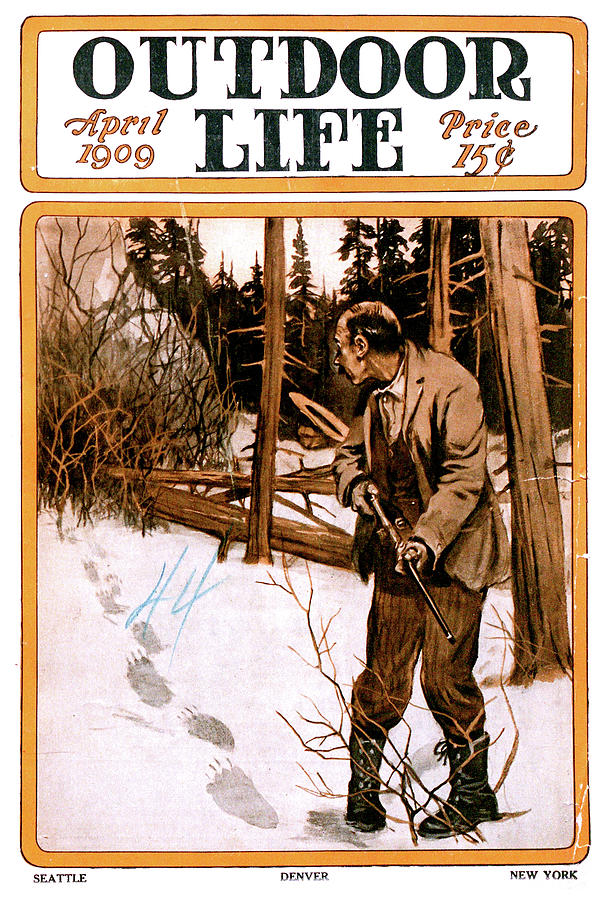 Bear Painting - Outdoor Life Magazine Cover April 1909 by Outdoor Life