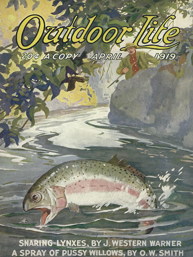Trout Painting - Outdoor Life Magazine Cover April 1919 by Outdoor Life